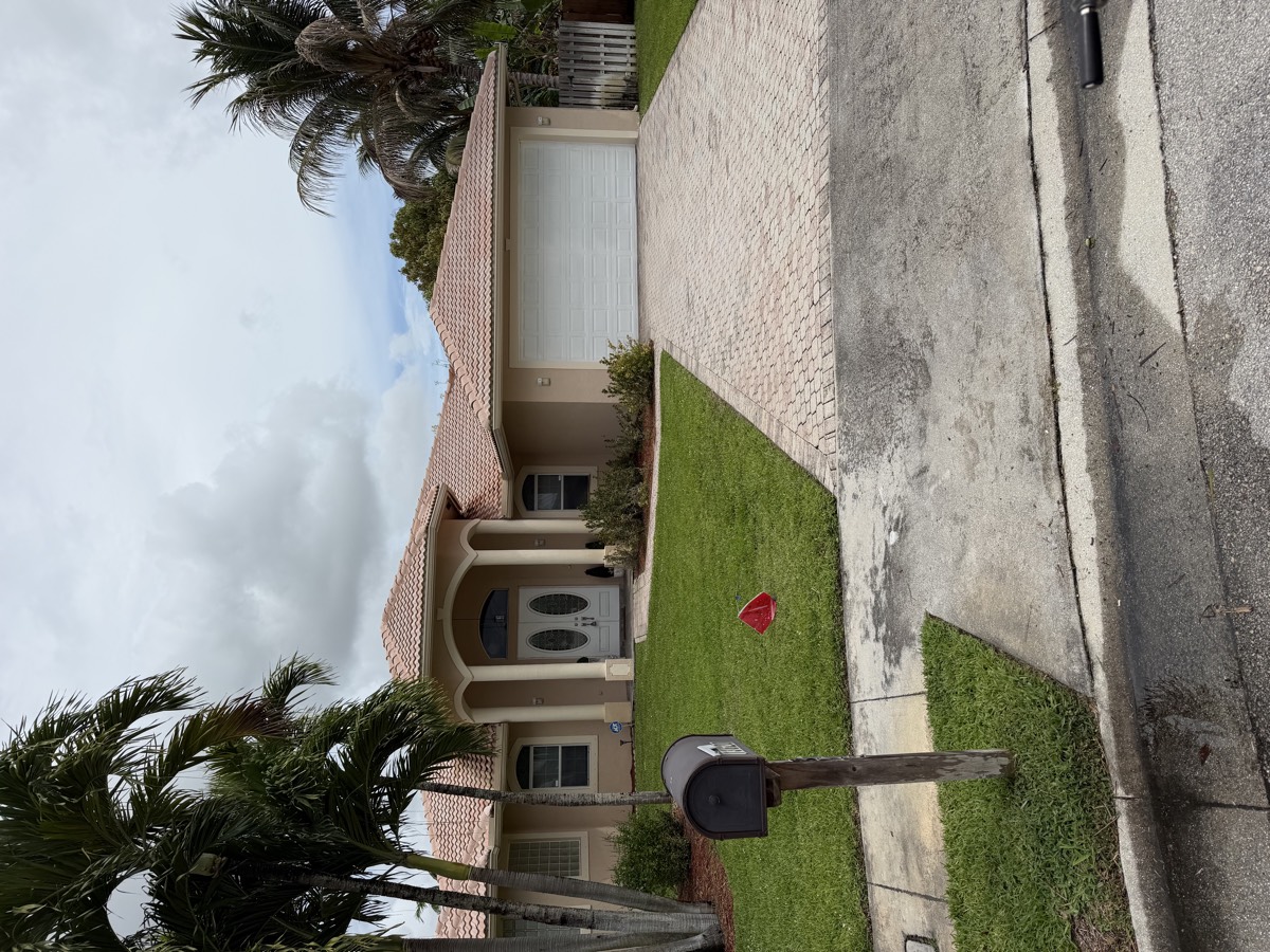 Driveway before pressure washing