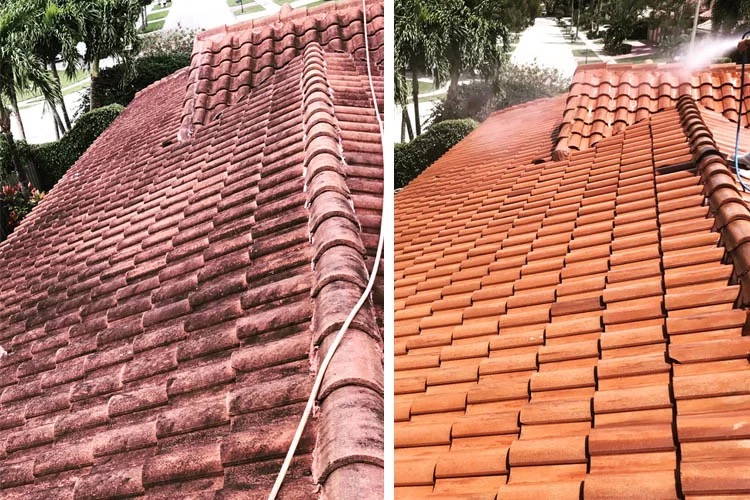 Roof soft wash before and after