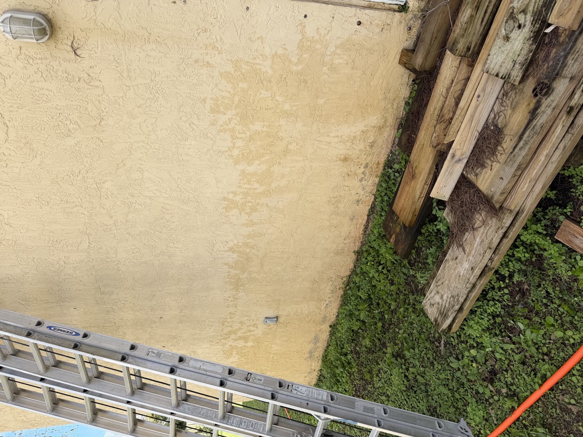 Wall after soft wash